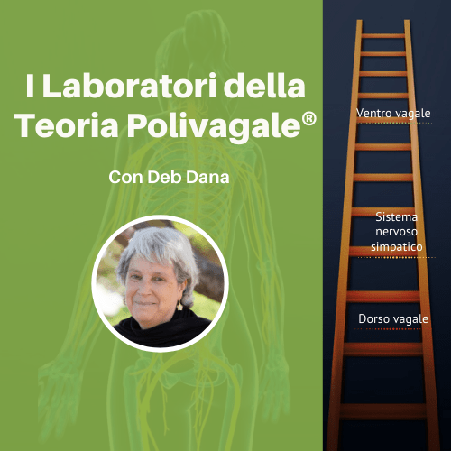 Corso Online - Laboratori della Teoria Polivagale