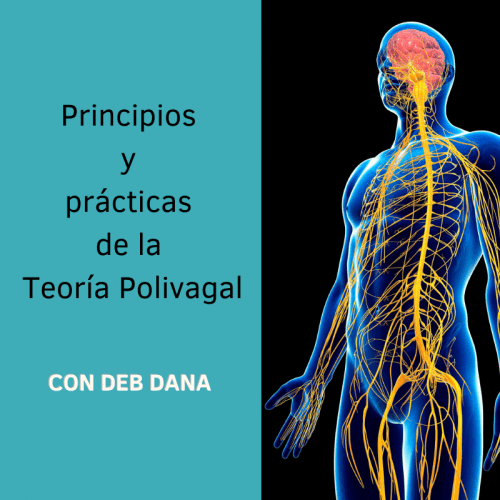 Curso Online: Principios y prácticas de la Teoria Polivagal, con Deb Dana
