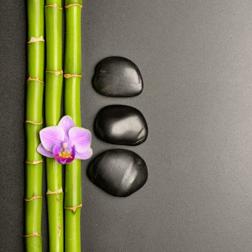 Curso Online: Introducción a la Teoría Polivagal - Una visión general